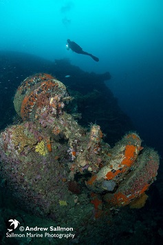 Best Dive Sites in the Solomon Islands - White Beach