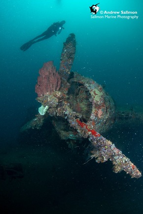 Best Dive Sites in the Solomon Islands - Mavis Seaplane