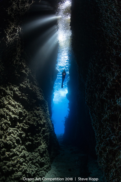 A photo of a diver in Leru Cut