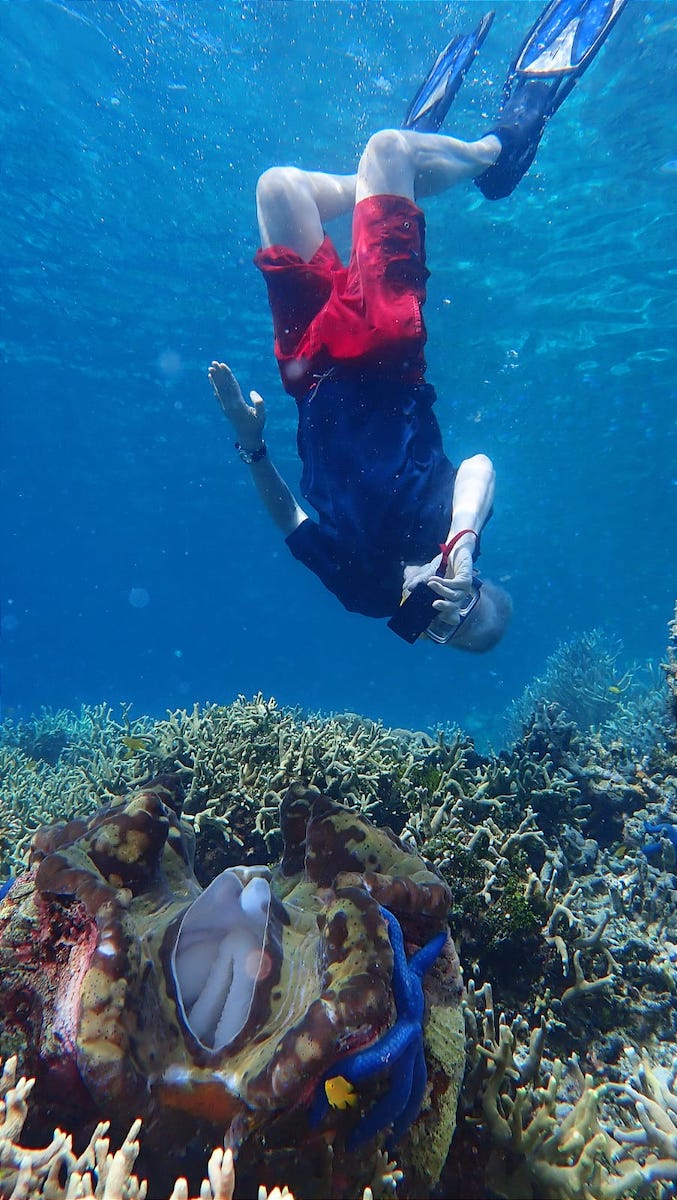 Snorkeler taking photo of a giant clam in the Solomon Islands